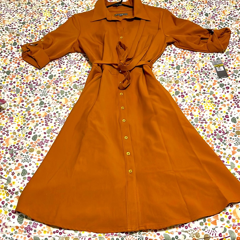 Leather Colored Dress